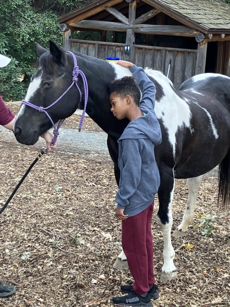 kid petting horse.