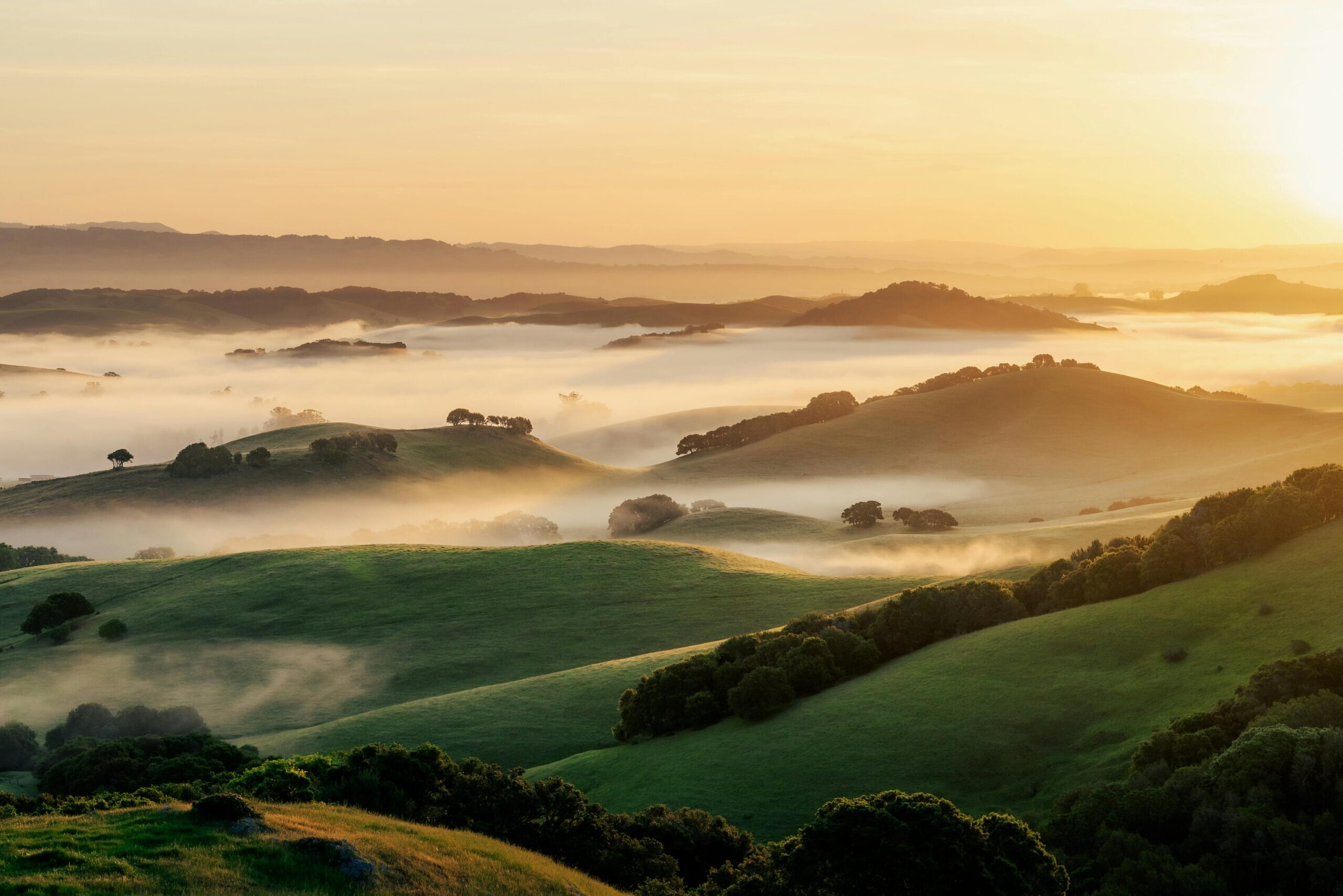 Background image for blog page - Contra Costa Hills